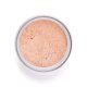 PERFECT FINISH LOOSE POWDER 02