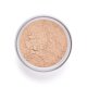 PERFECT FINISH LOOSE POWDER 04