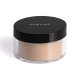 PERFECT FINISH LOOSE POWDER SXL3