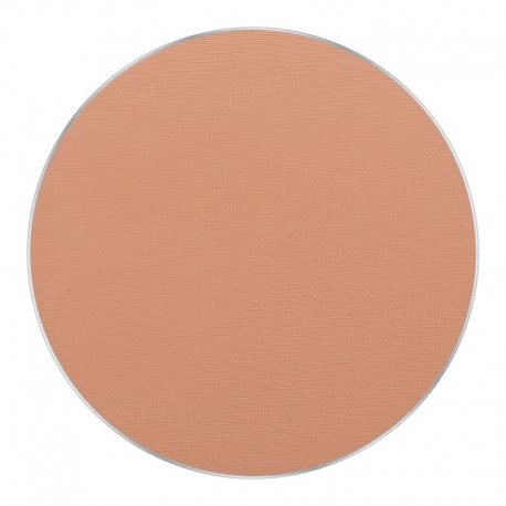 FREEDOM SYSTEM PERFECT FINISH PRESSED POWDER 11