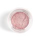 EYE & BODY POWDER PIGMENT 400