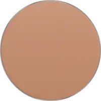 Thumbnail FREEDOM SYSTEM SATIN SKIN PRESSED POWDER 55